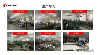 一條價(jià)值萬(wàn)元的魚與千金一字 Lykan廣告語(yǔ)征集解析